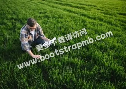 探索体育的魅力 - 九游体育官网