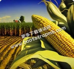 我们始终以用户为中心 - 九游体育官网